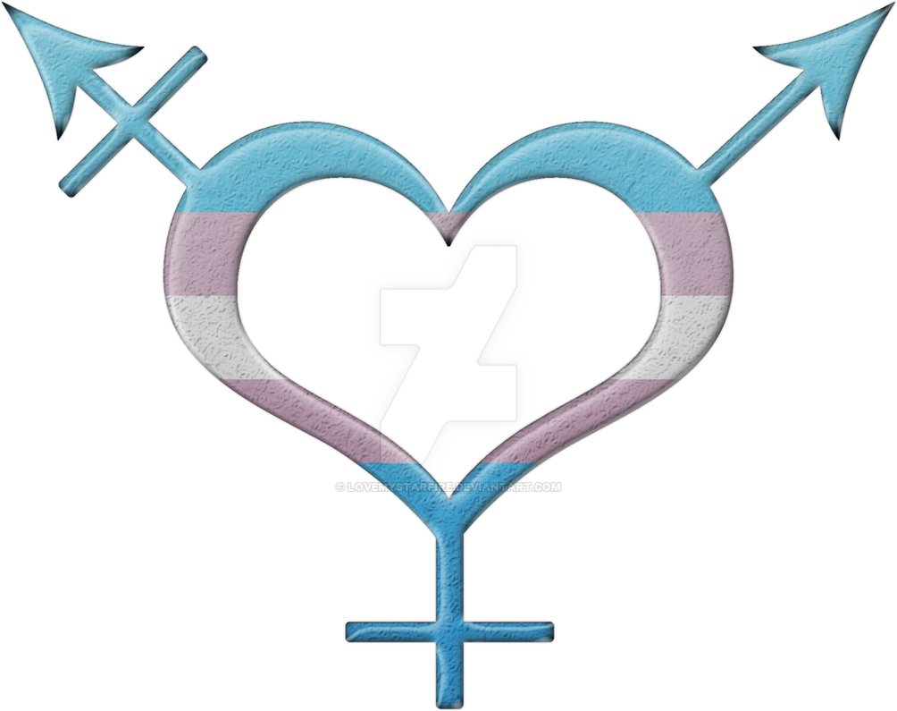 Journée du Souvenir Trans (Transgender Day of Remembrance – TDoR) Victimes de Transphobie, 20 novembre 2019.